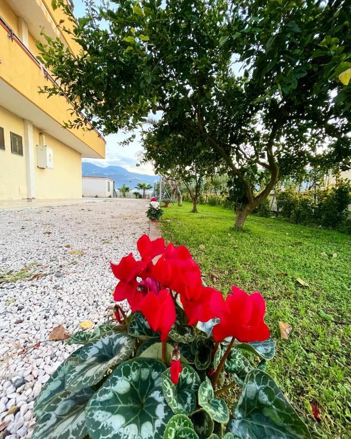 Casa Vacanze Paradise Santa Maria La Carità Buitenkant foto
