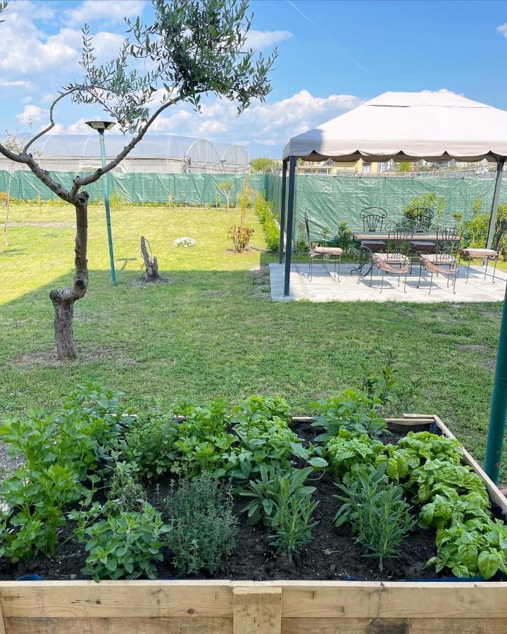 Casa Vacanze Paradise Santa Maria La Carità Buitenkant foto