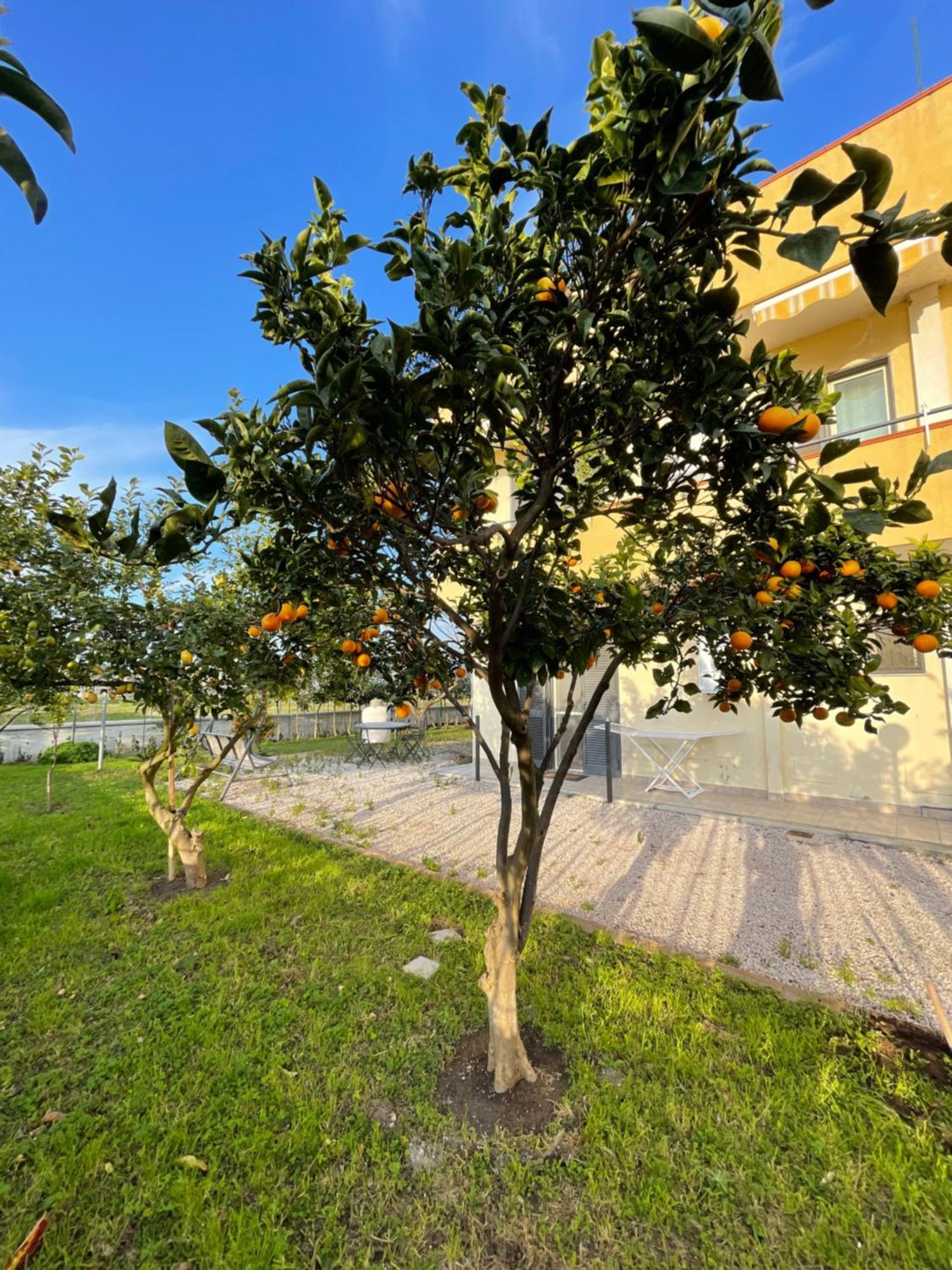 Casa Vacanze Paradise Santa Maria La Carità Buitenkant foto