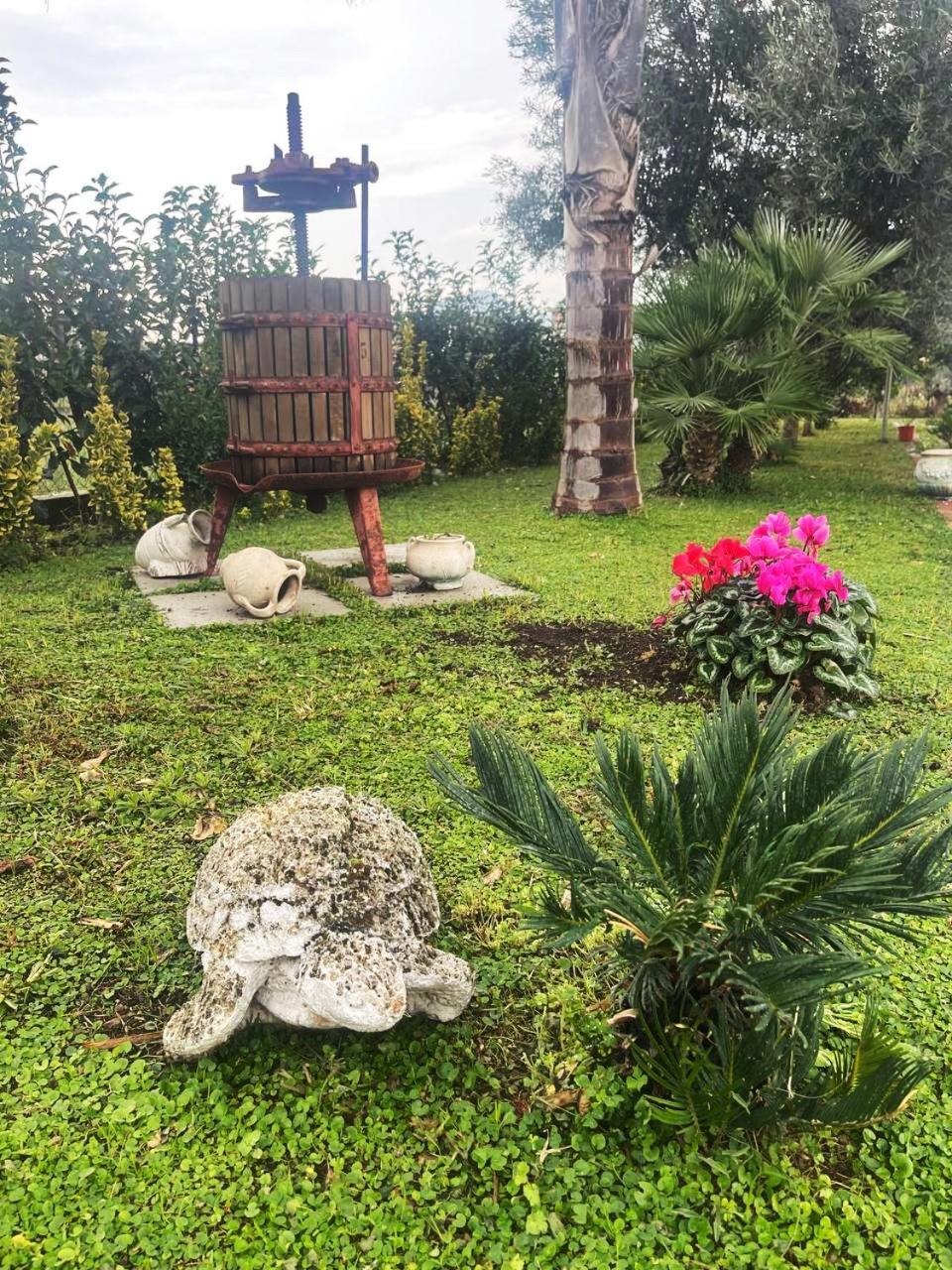 Casa Vacanze Paradise Santa Maria La Carità Buitenkant foto