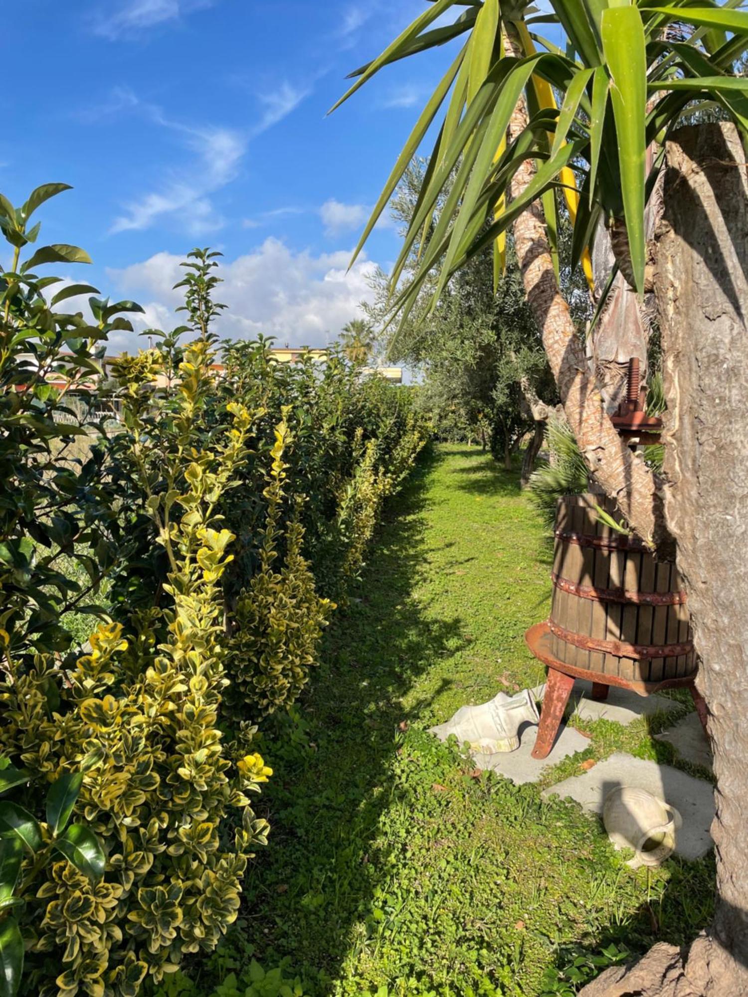 Casa Vacanze Paradise Santa Maria La Carità Buitenkant foto